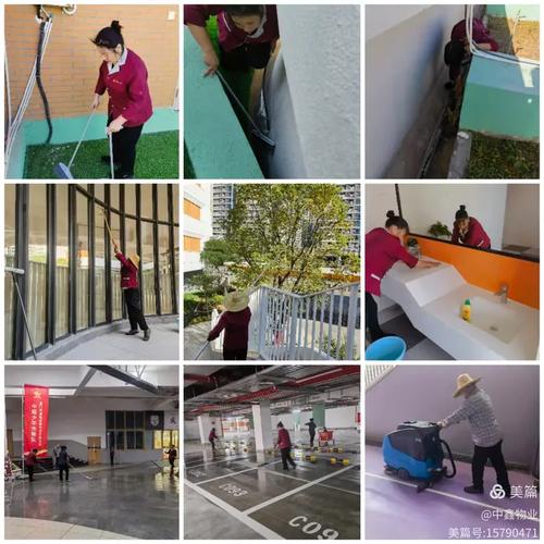 双十中学湖里分校物业服务2024年11份月工作月报